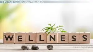 What is Wellness?